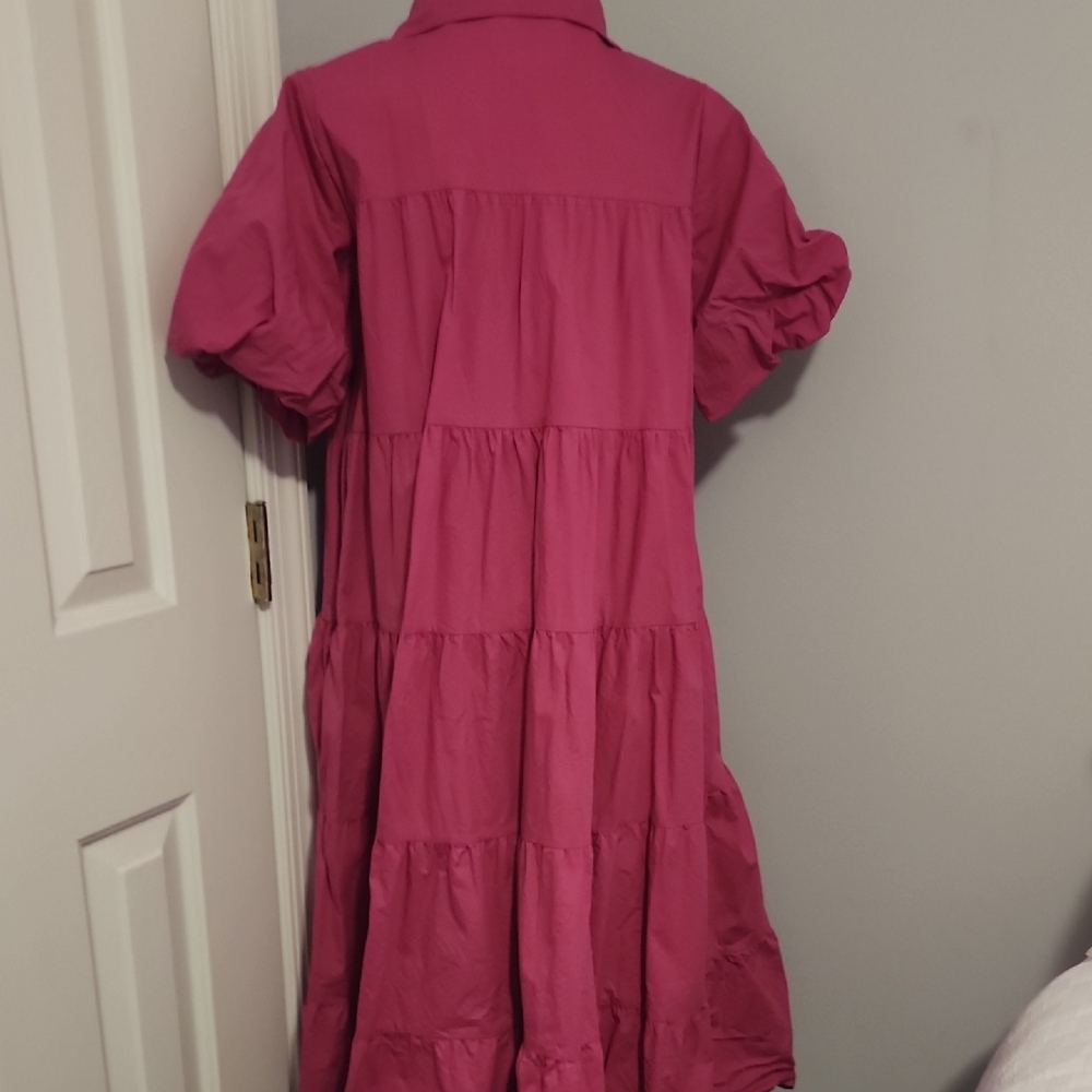 Pink Dress - Picture 6 of 6